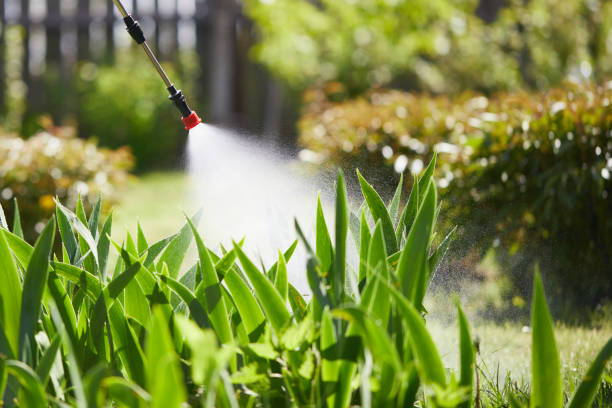 Tamper-Resistant Bait Stations for Rodents in Maple Bluff