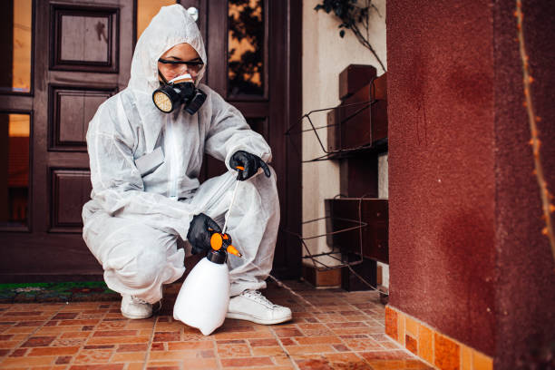 Attic and Crawl Space Rodent Treatment in Maple Bluff