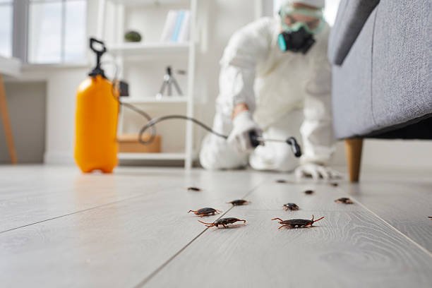 Commercial Rodent Management in Maple Bluff
